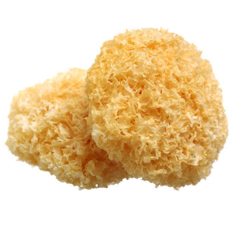 White Fungus Snow Mushroom Whole Organic